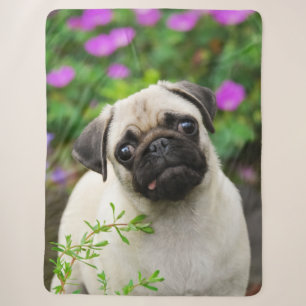 Cute Fawn Coloured Pug Puppy Dog Face Pet Photo -- Sherpa Blanket