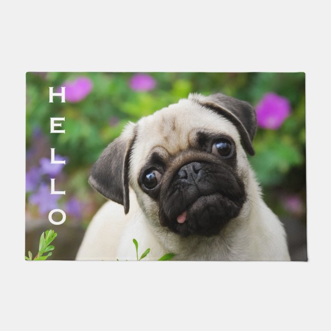 Cute Fawn Coloured Pug Puppy, Personalised Hello Doormat (Front)