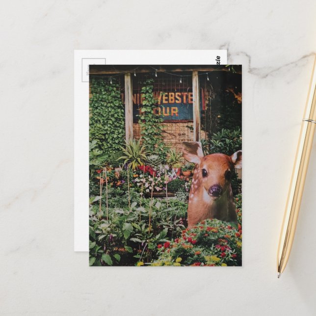 Cute Fawn in the Garden Collage Postcard (Front/Back In Situ)
