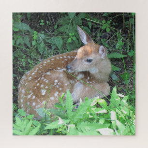 Cute Fawn Jigsaw Puzzle