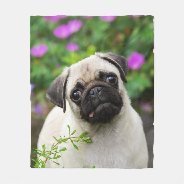 Cute Fawn Pug Puppy Doggie, comfort Fleece Blanket (Front)
