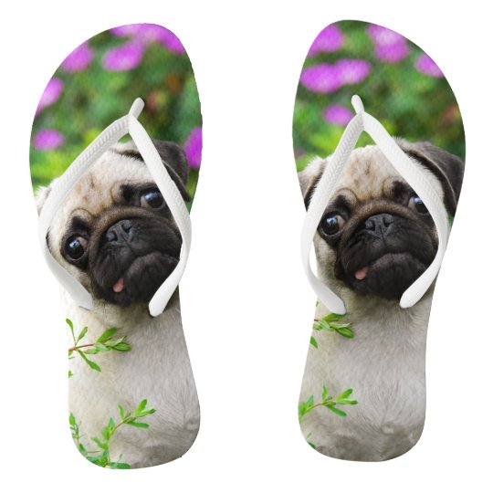 pug flip flops