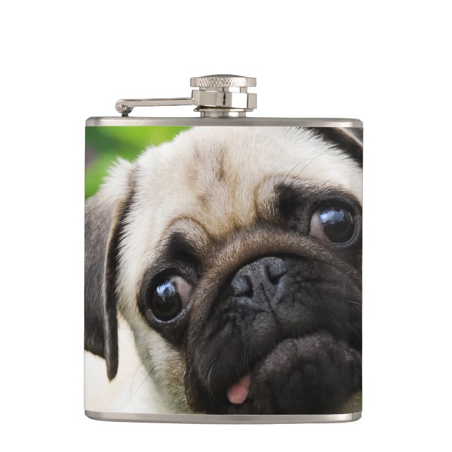 Cute fawn pug puppy hip flask (Front)
