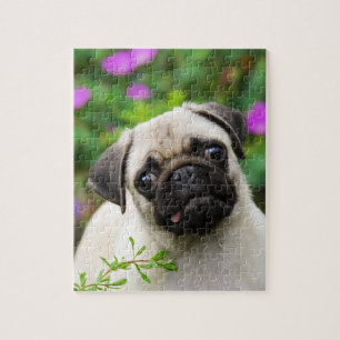 Cute fawn pug puppy jigsaw puzzle