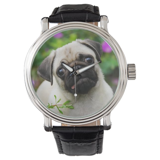 Cute fawn pug puppy watch (Front)