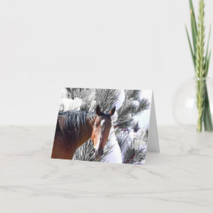 Cute Feliz Navidad Horse Spanish Christmas Holiday Card