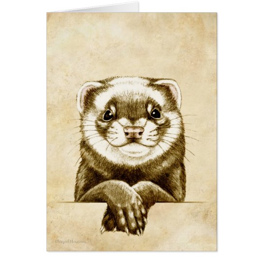 Cute Ferret Card