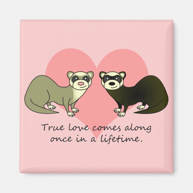Cute Ferrets True Love Magnet (Front)