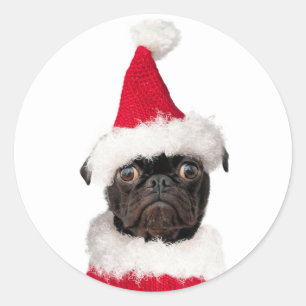 Cute Festive Christmas Black Pug Puppy Santa Classic Round Sticker