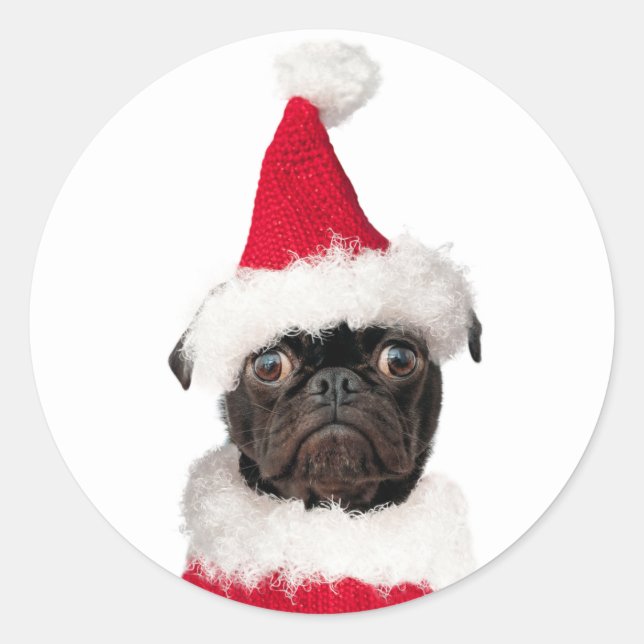Cute Festive Christmas Black Pug Puppy Santa Classic Round Sticker (Front)