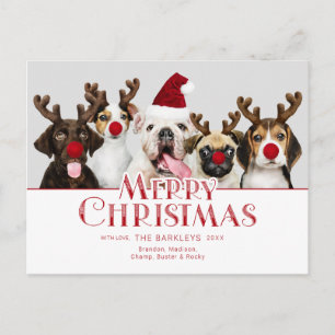 Cute Festive Merry Christmas Typography   Photo Postcard