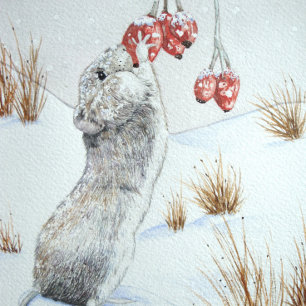 cute field mouse winter snow scene wildlife round paper coaster