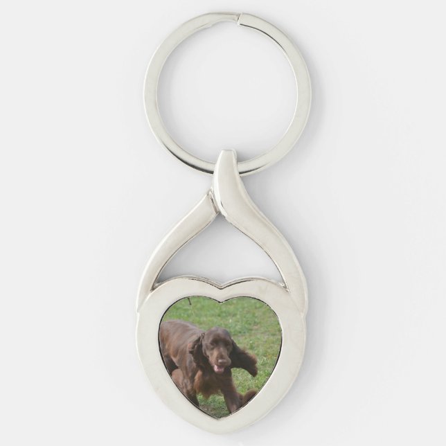 Cute Field Spaniel Key Ring (Front)