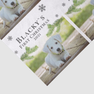 Cute First Christmas Pine Puppy Dog Pet Photo Tissue Paper