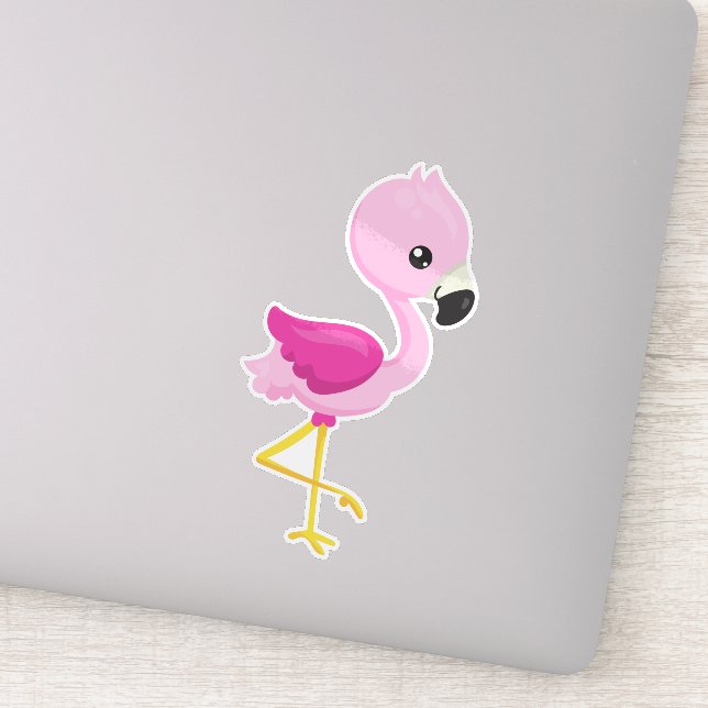 Cute Flamingo, Baby Flamingo, Pink Flamingo, Bird (Detail)