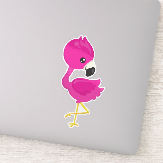 Cute Flamingo, Pink Flamingo, Baby Flamingo, Bird (Detail)