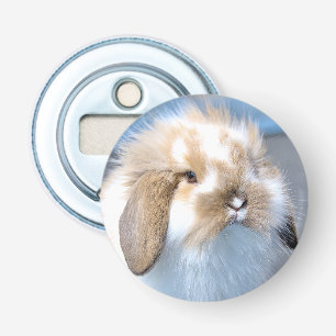 Cute Flemish white and brown rabbit     Bottle Opener
