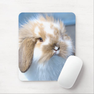 Cute Flemish white and brown rabbit   Mouse Mat