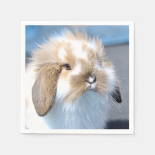 Cute Flemish white and brown rabbit     Napkin