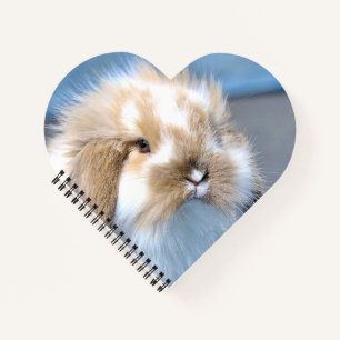 Cute Flemish white and brown rabbit Notebook