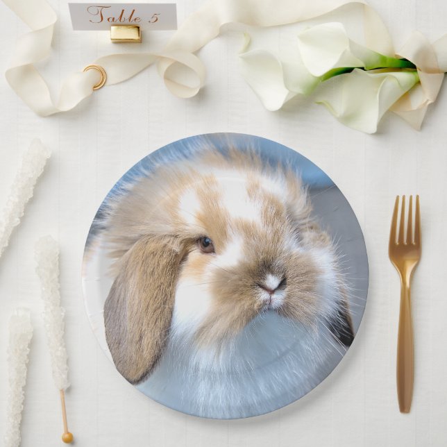 Cute Flemish white and brown rabbit      Paper Plate (Wedding)