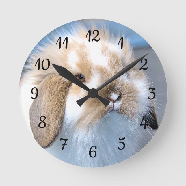 Cute Flemish white and brown rabbit   Round Clock (Front)