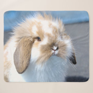Cute Flemish white and brown rabbit Sherpa Blanket