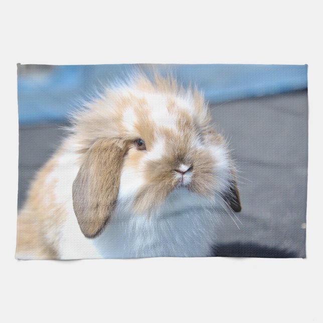 Cute Flemish white and brown rabbit      Tea Towel (Horizontal)