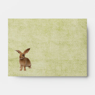Cute Floppy Bunny A6 Envelope