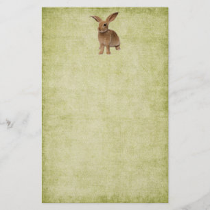 Cute Floppy Bunny- Stationery-No Lines Stationery