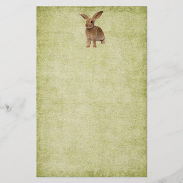 Cute Floppy Bunny- Stationery-No Lines Stationery (Front)