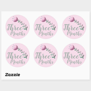 Cute Floral Baby Milestone Classic Round Sticker