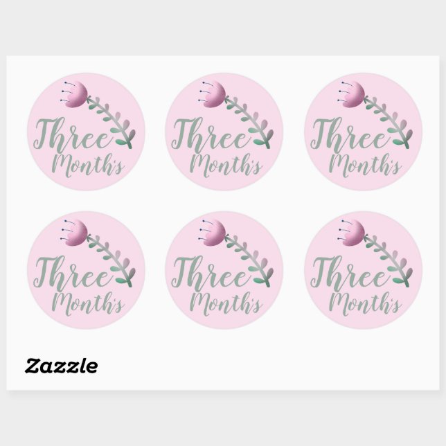 Cute Floral Baby Milestone Classic Round Sticker (Sheet)