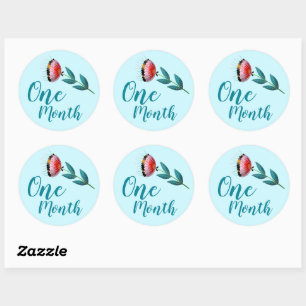 Cute Floral Baby Milestone Classic Round Sticker