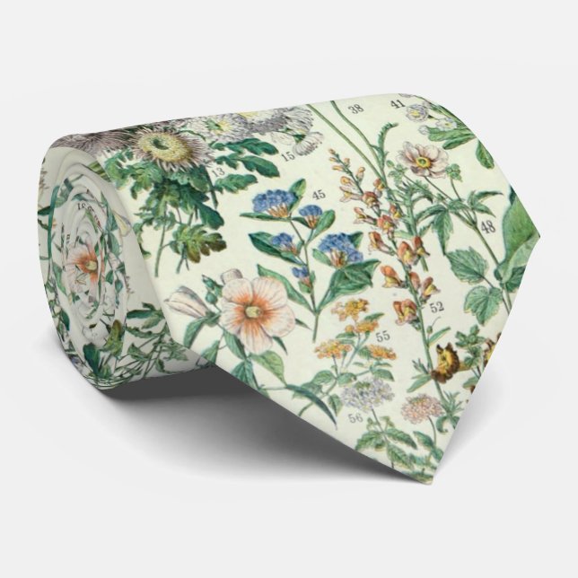 Cute Floral Botanical Drawing by Adolphe Millot Tie (Rolled)