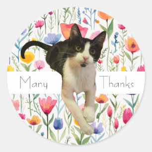 Cute Floral Flowers Cat Thank You Stickers
