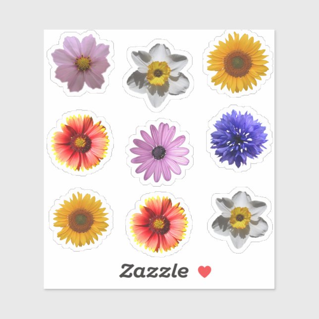 Cute Flower Photo Cutouts Sticker Set (Sheet)