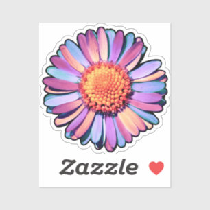 Cute Flower Purple Pink Blue Boho Daisy Bisexual