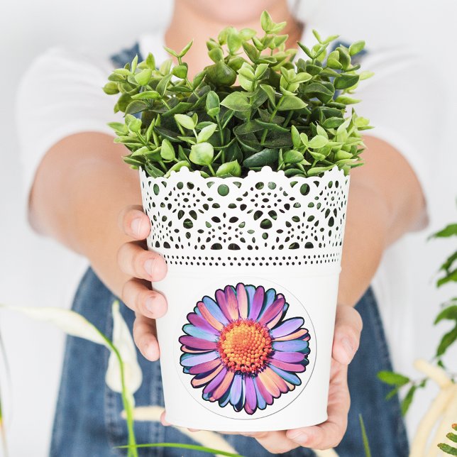   Cute Flower Purple Pink Blue Boho Daisy Bisexual Classic Round Sticker (Creator Uploaded)