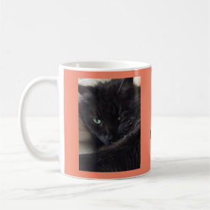 Cute Fluffy Black Cat Photo Personalised Coffee Mug