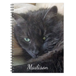 Cute Fluffy Black Cat Photo Personalised Name Notebook