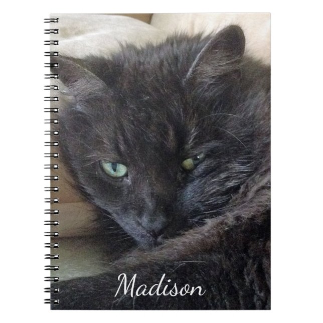 Cute Fluffy Black Cat Photo Personalised Name Notebook (Front)