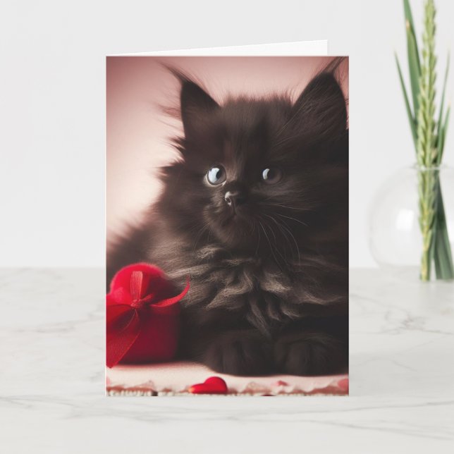Cute Fluffy Black Valentine Kitten Card (Front)