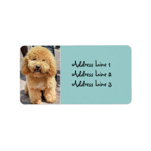 Cute Fluffy Brown Dog Photo Address Label