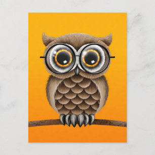 Cute Fluffy Brown Owl with Reading Glasses, Yellow Postcard