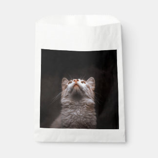 Cute Fluffy Cat Looking Up Black Background Animal Favour Bags
