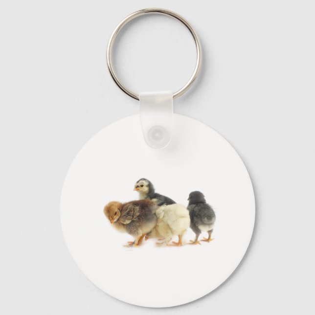 cute fluffy chicks key ring (Front)