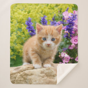 Cute Fluffy Ginger Baby Cat Kitten Flowers Pet '' Sherpa Blanket