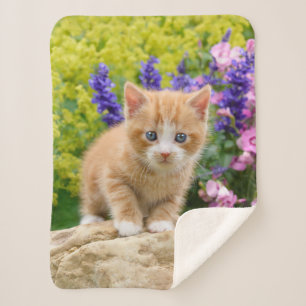 Cute Fluffy Ginger Baby Cat Kitten in Flowers Pet Sherpa Blanket