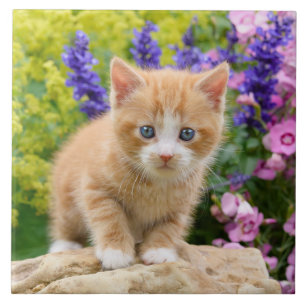 Cute Fluffy Ginger Cat Kitten Flowers Pet Photo -- Tile